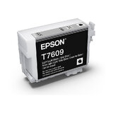 Epson 760 Light Light Black Ink Cartridge