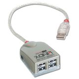 Lindy 4 Port USB2 Smart Hub