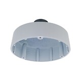 D-Link Pendant Cap Type D2 for Vigilance Cameras [DCS-F461PC]
