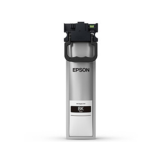 Epson T10S Standard Black Ink Cartridge