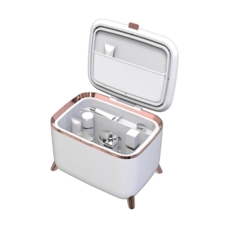 WellCare Make-Up Fridge