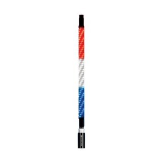 EcoXgear 2 Foot Led Whip W/ Controller