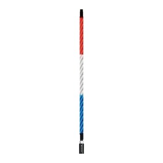 EcoXgear 4 Foot Led Whip W/ Controller