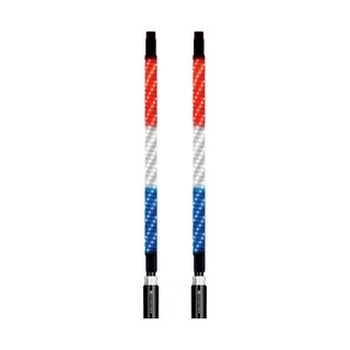 EcoXgear 2 Foot Whip LED Kit W/ Controller