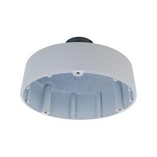 D-Link Pendant Cap Type D2 for Vigilance Cameras [DCS-F461PC]