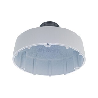 D-Link Pendant Cap Type D1 for Vigilance Cameras [DCS-F460PC]